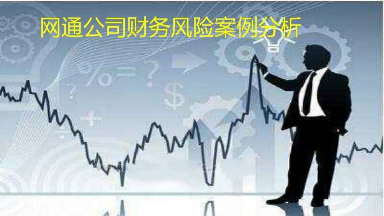 網(wǎng)通公司財(cái)務(wù)風(fēng)險(xiǎn)案例分析